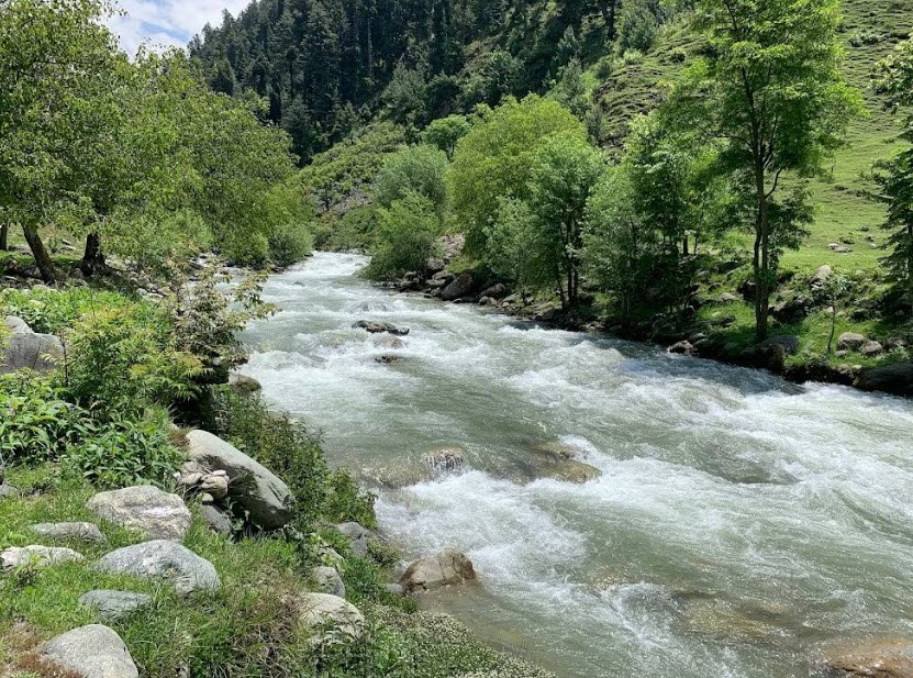 Rajparian Wildlife Sanctuary, Anantnag, Jammu and Kashmir - Vushii.com Rajparian Wildlife Sanctuary, Anantnag, Jammu and Kashmir - Vushii.com